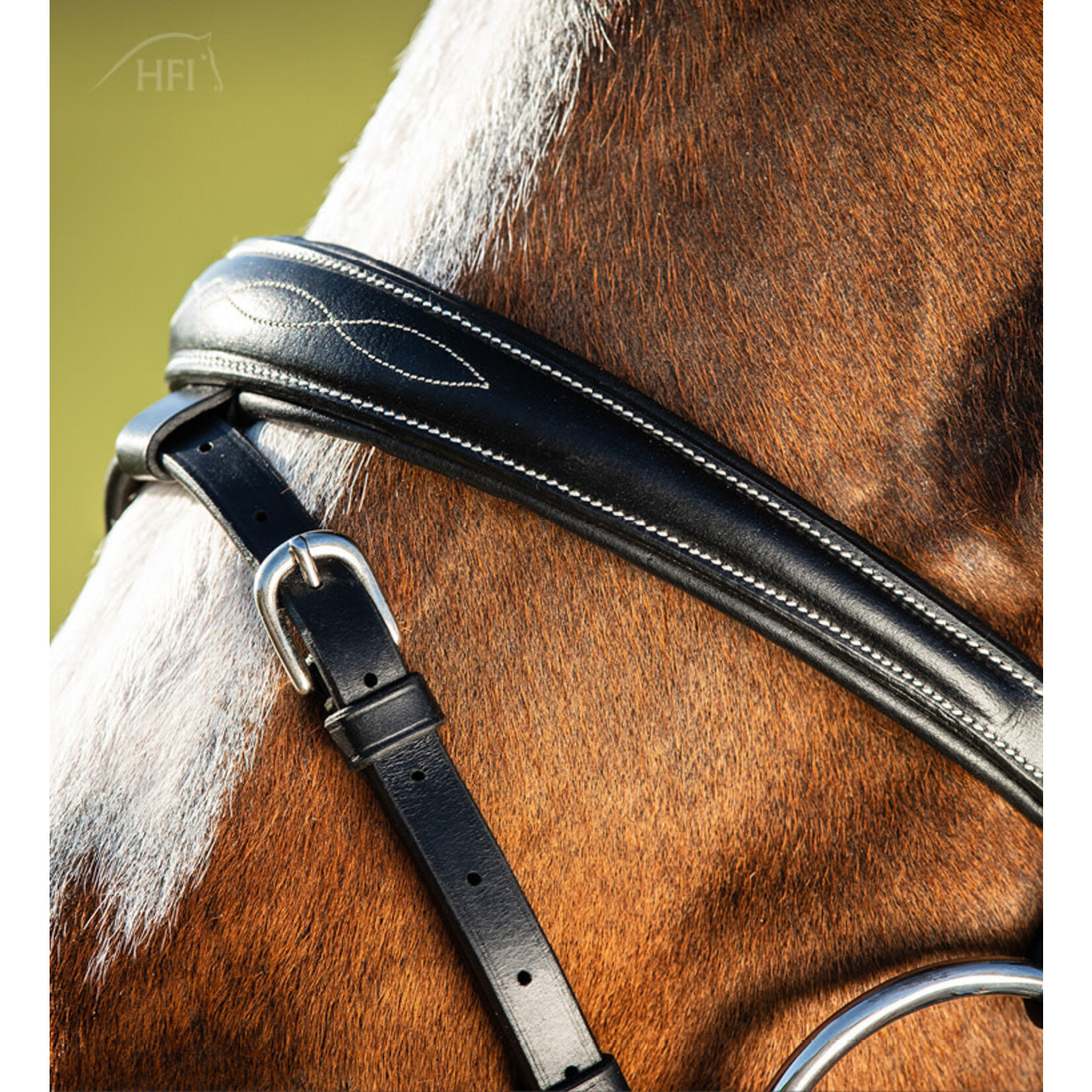 HFI HFI Hoofdstel Elegant