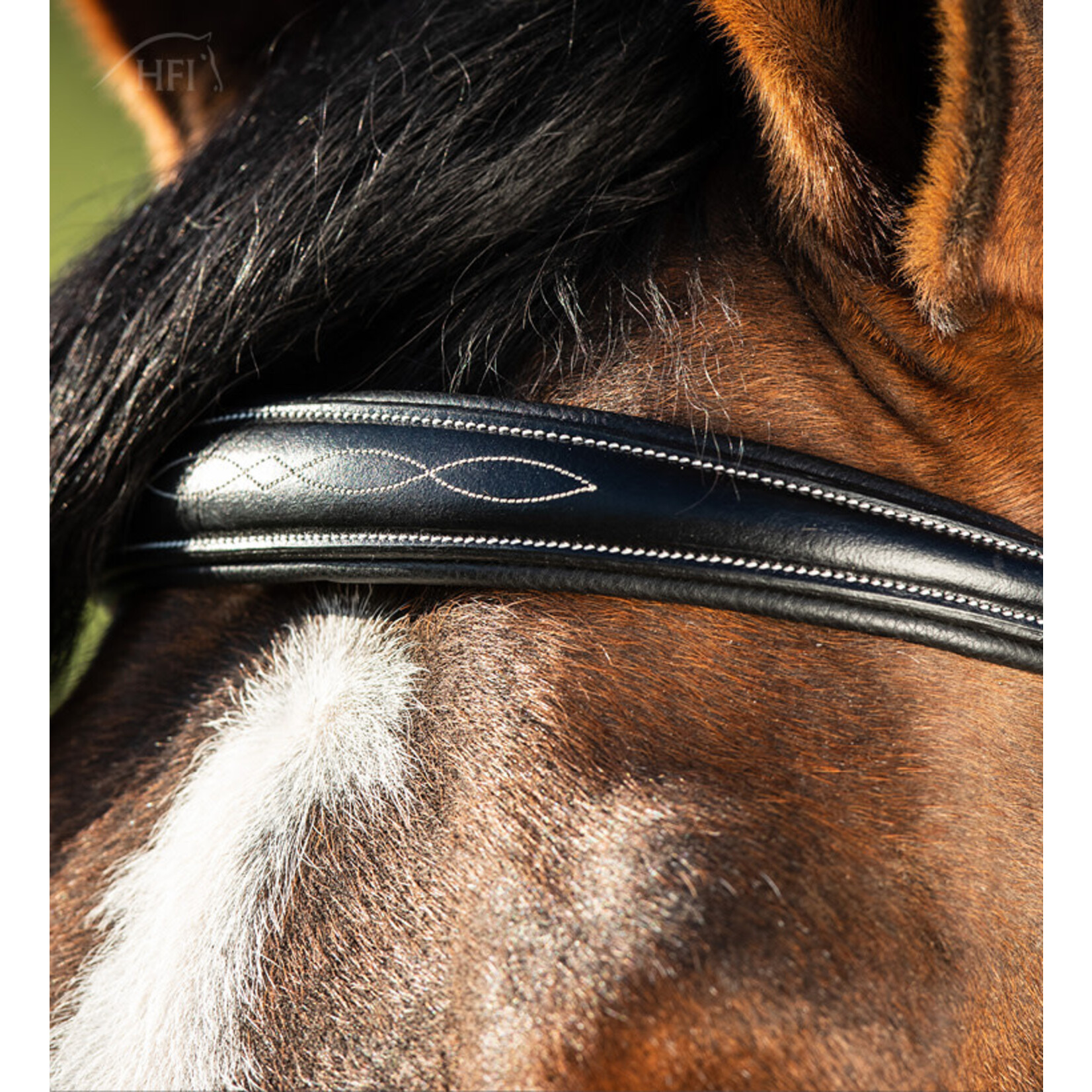 HFI HFI Hoofdstel Elegant