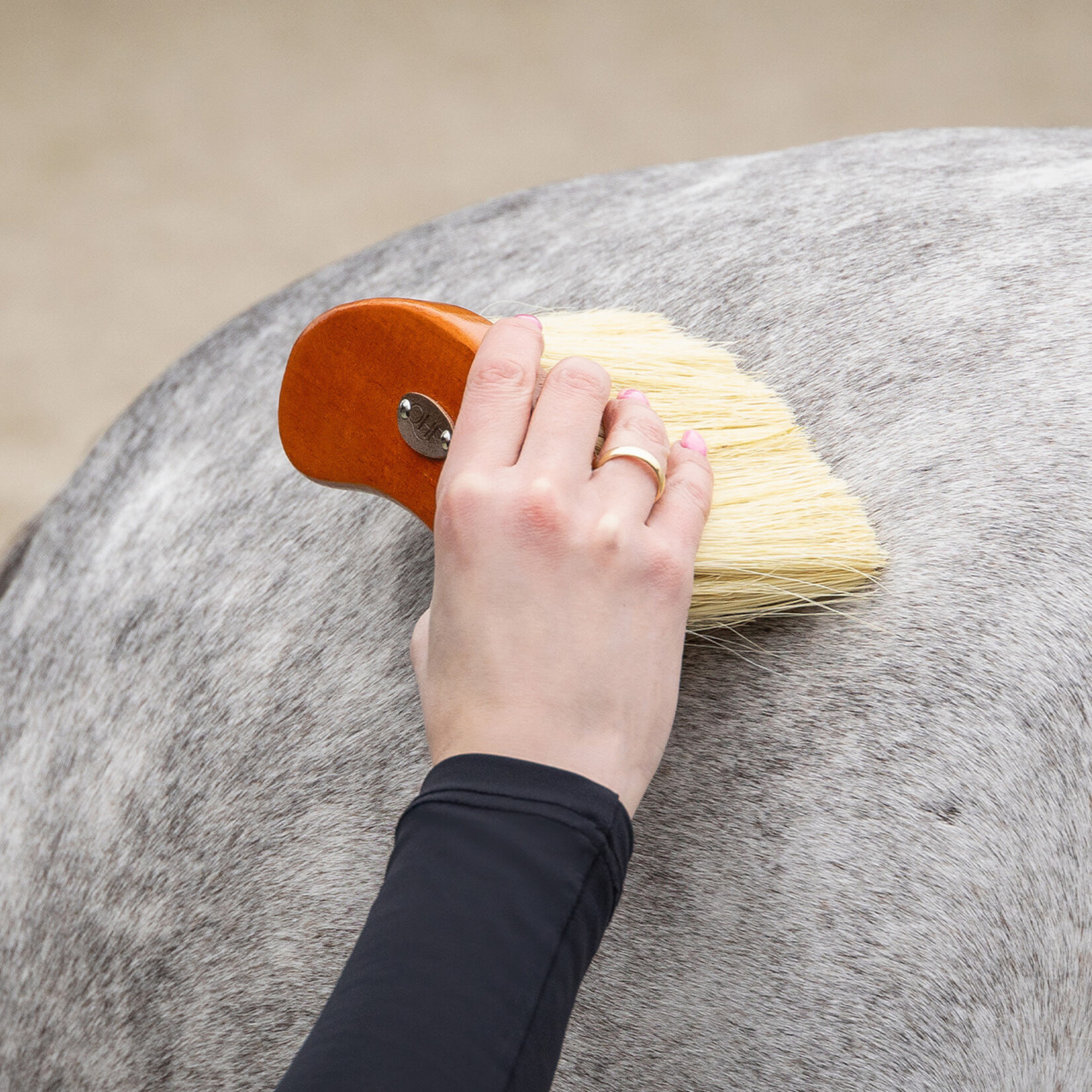 QHP QHP Borstelset Royal