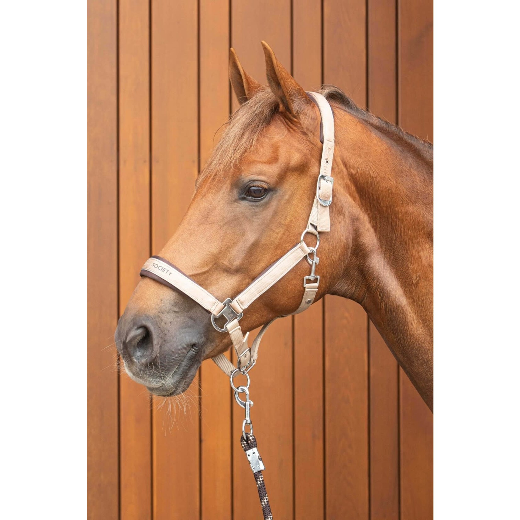 Harry's Horse Harry's Horse Halsterset Satin Eli