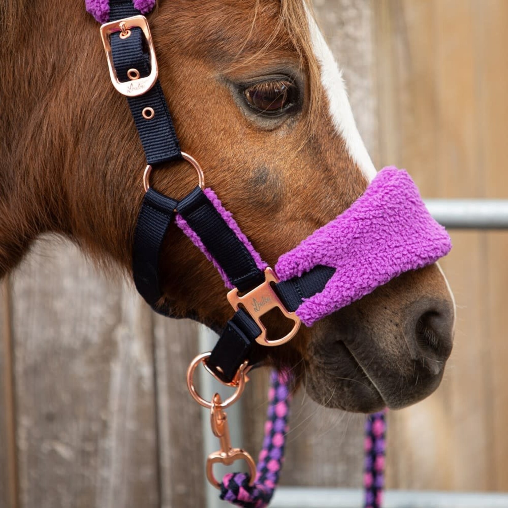 Harry's Horse Harry's Horse Halsterset LouLou Royce