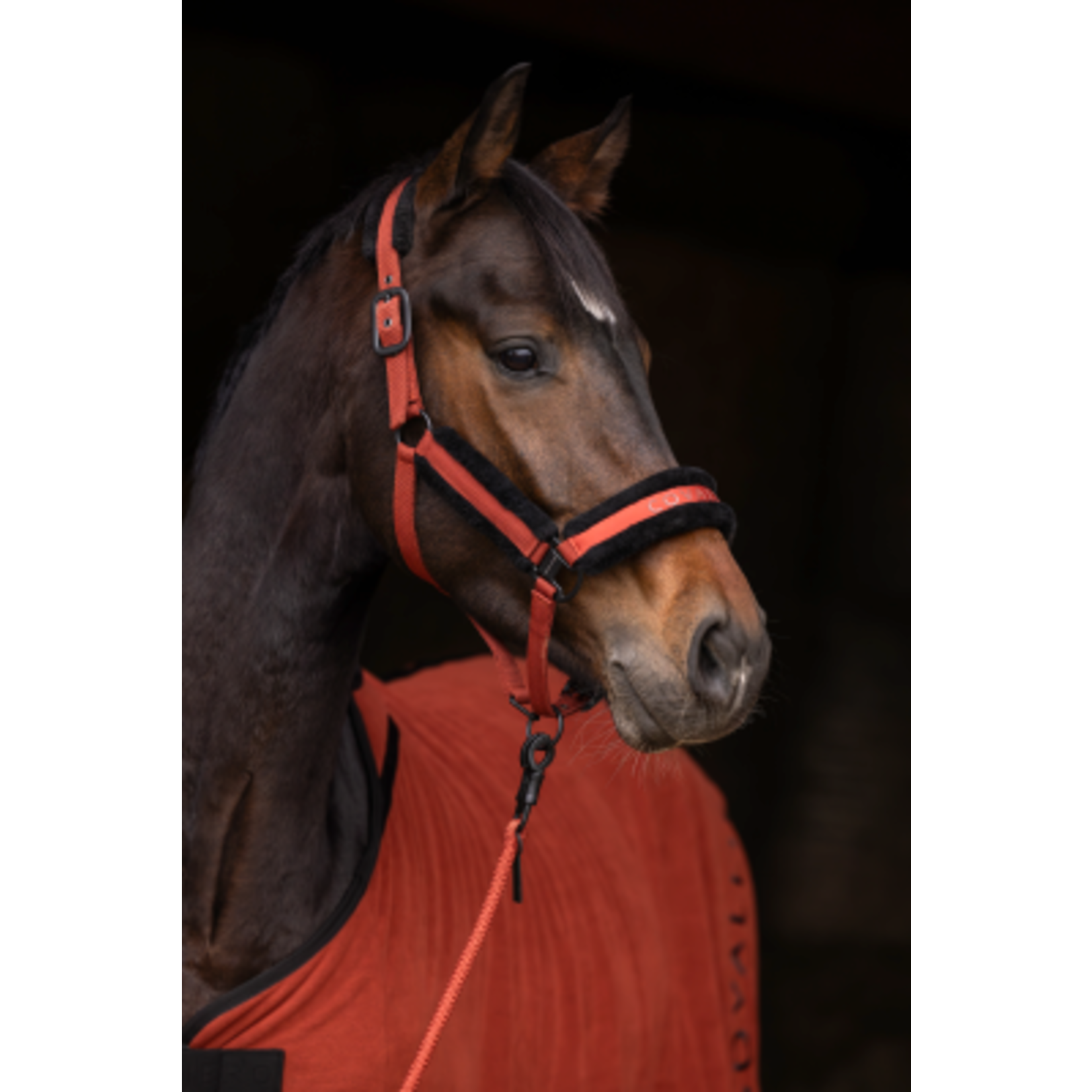 Covalliero Covalliero Halster Bont Rust