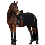 Covalliero Covalliero Uitrijdeken Fleece (Quater) Zwart