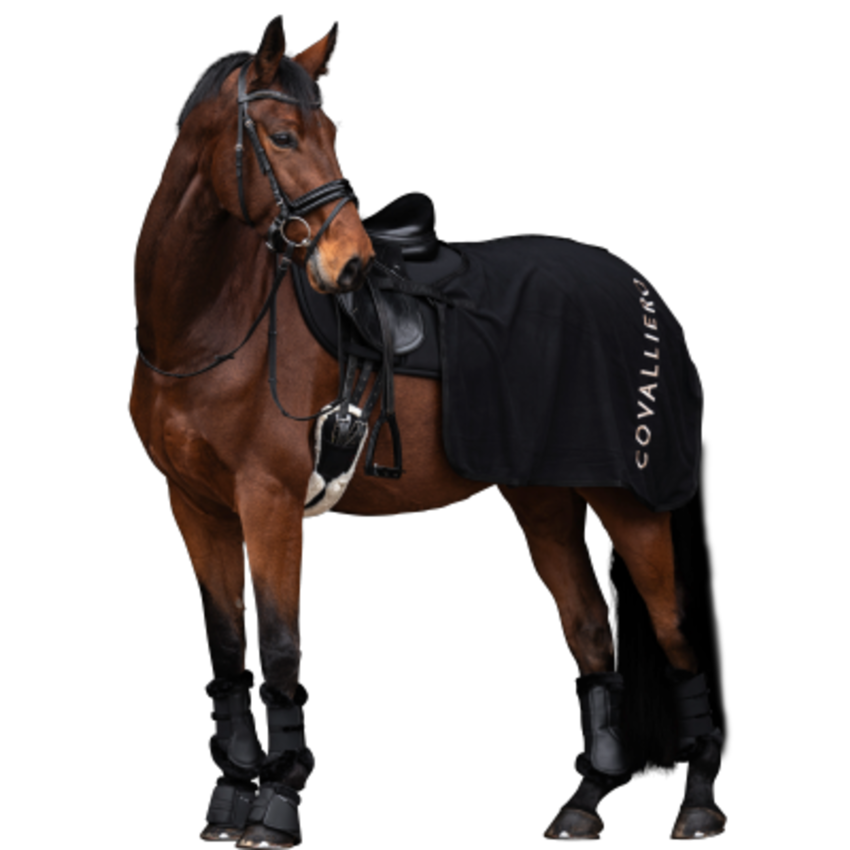 Covalliero Covalliero Uitrijdeken Fleece (Quater) Zwart
