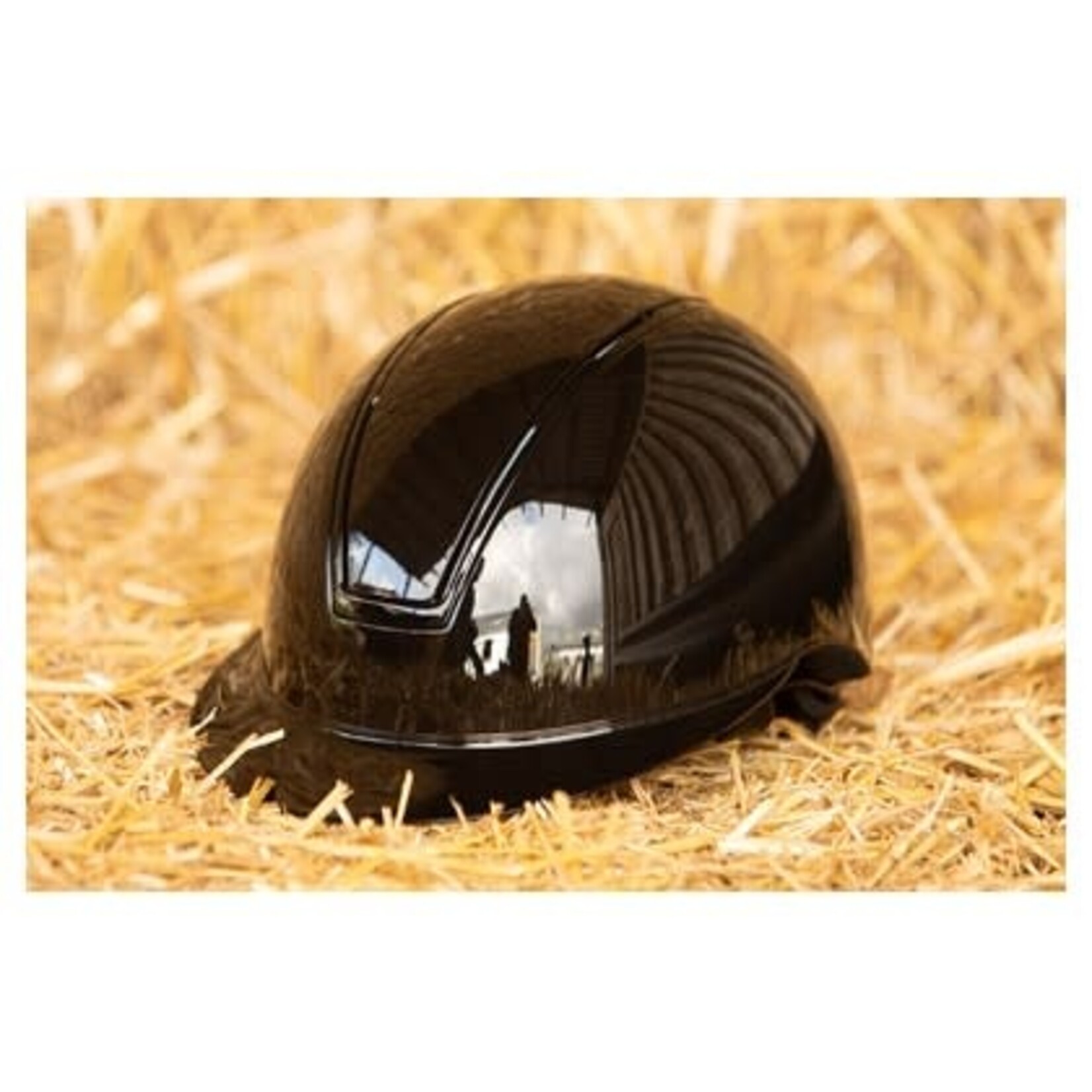Harry's Horse Harry's Horse Rijhelm Royal Glossy