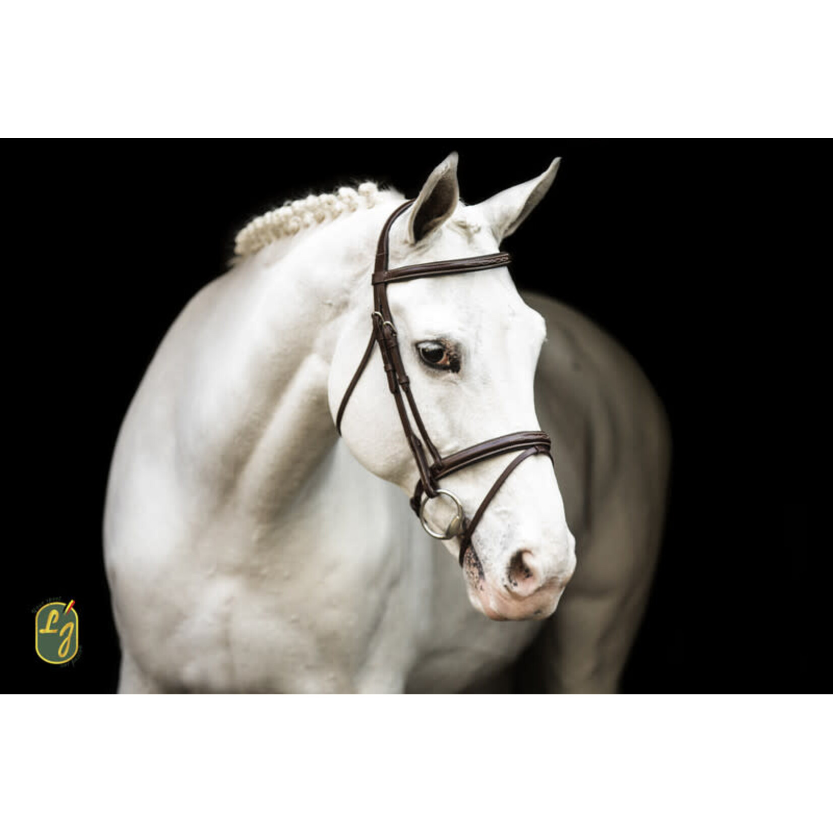 LJ LJ Hoofdstel New Pro Gecomb. Neusr.  Australian Nut