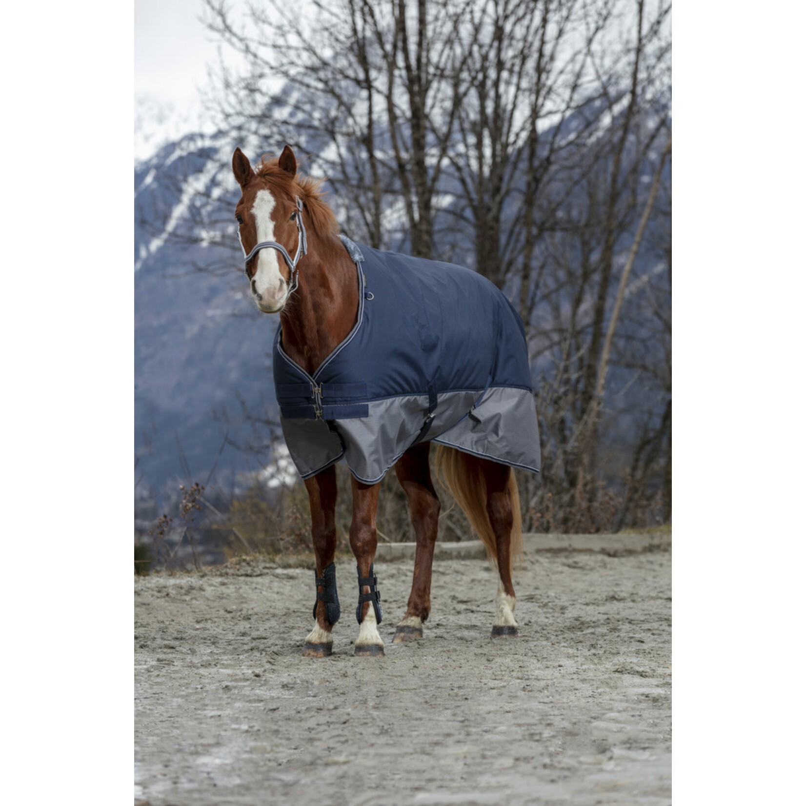 Equithème Equitheme Outdoordeken 0gr Grijs/Blauw
