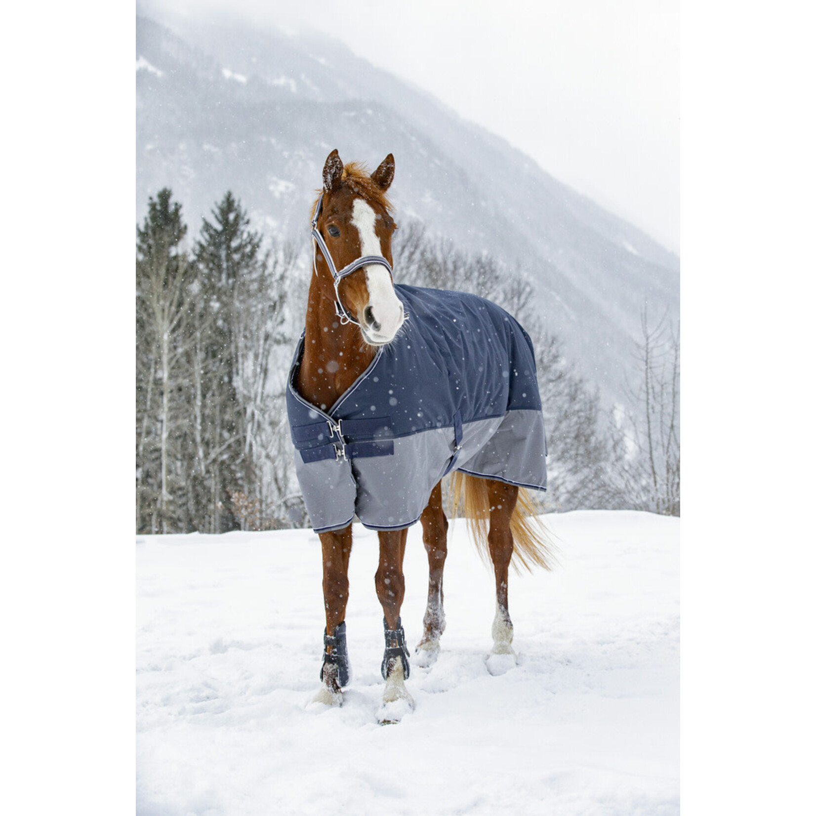 Equithème Equitheme Outdoordeken 0gr Grijs/Blauw