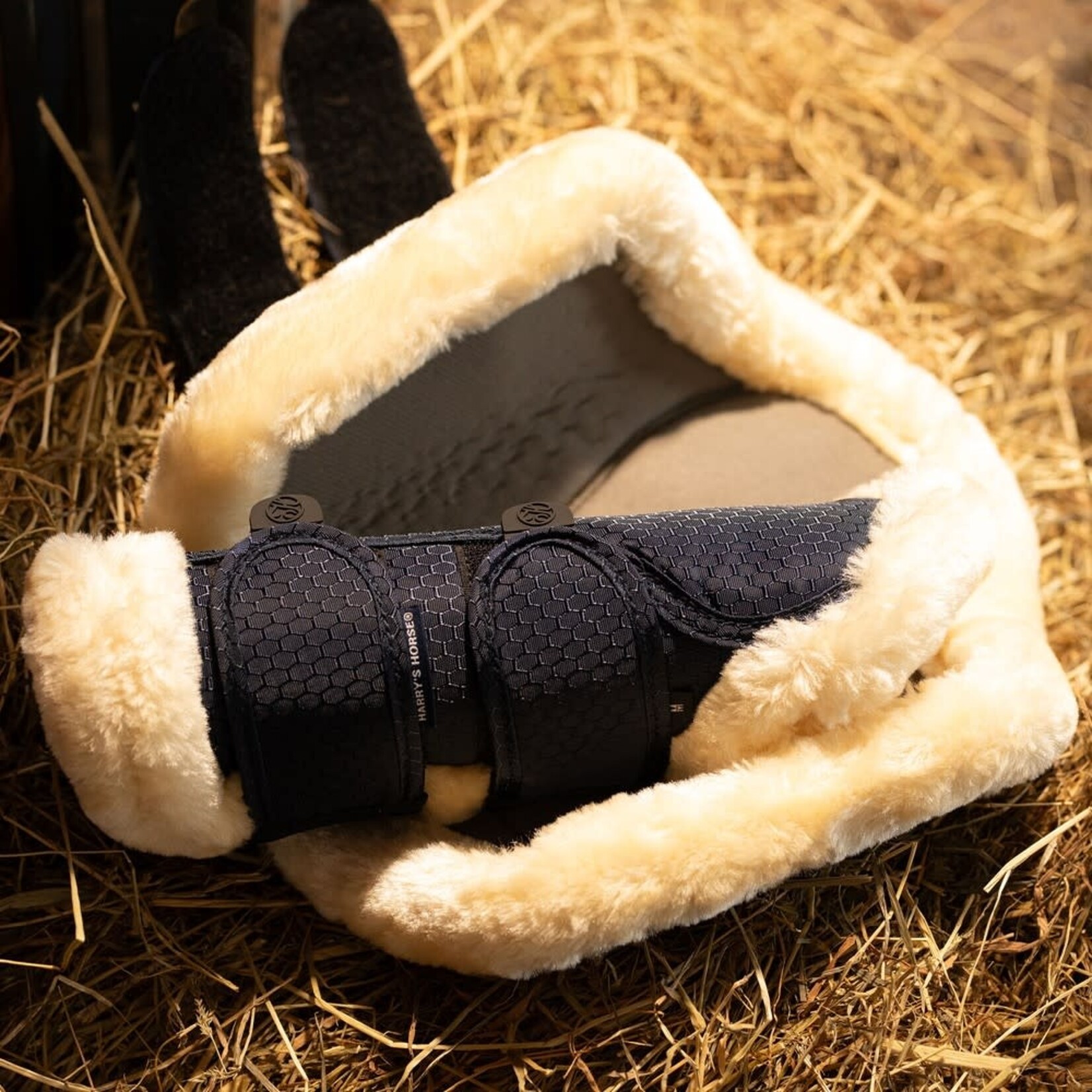 Harry's Horse Harry's Horse Beenbes. Hexagon