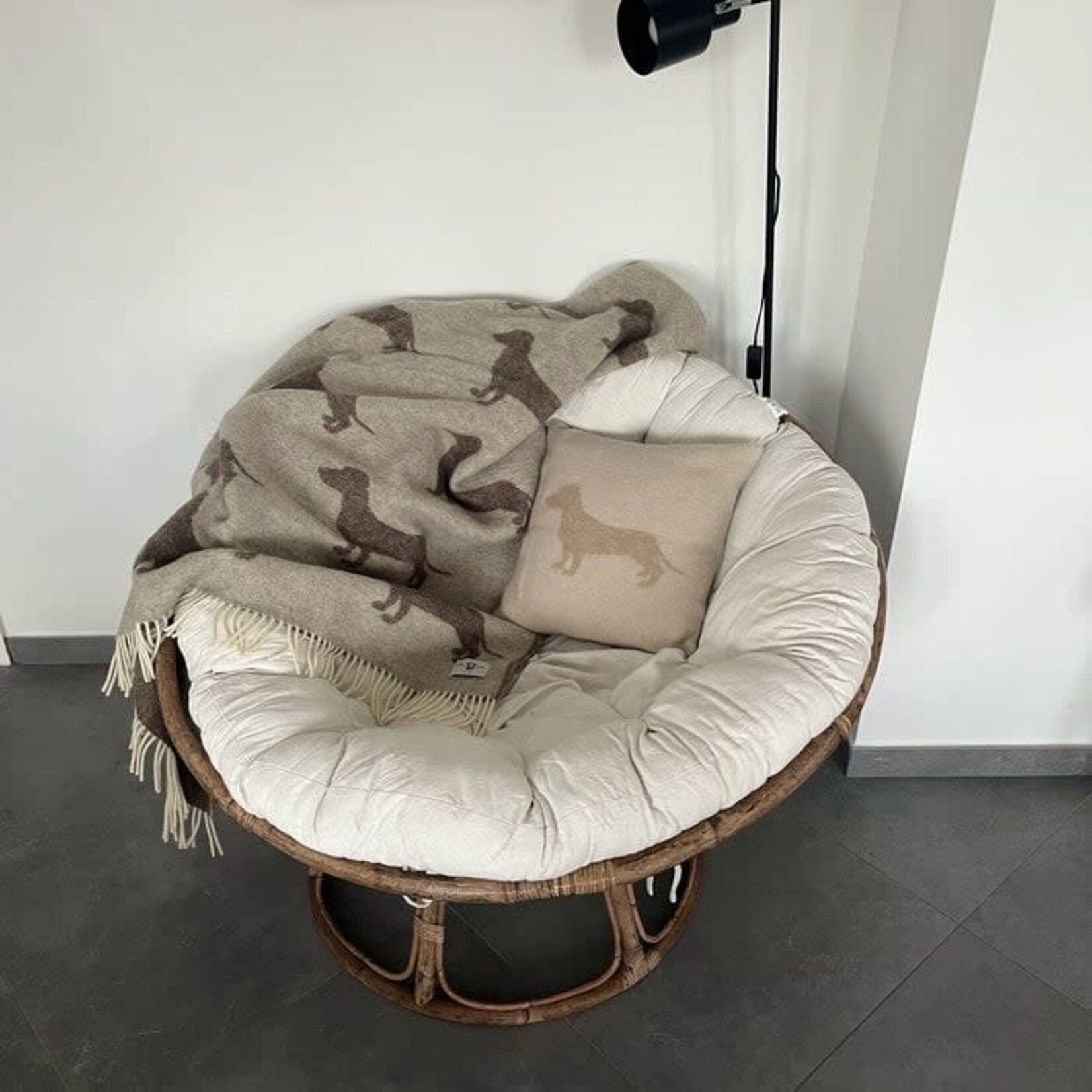 Belpo Bepo Teckel Plaid Beige/Coffee 100% Wol