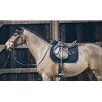 Kentucky Kentucky zadeldek Pearls