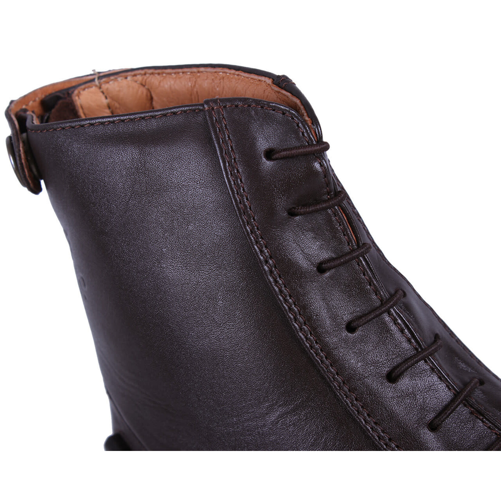 QHP QHP Elastische Veters Bruin