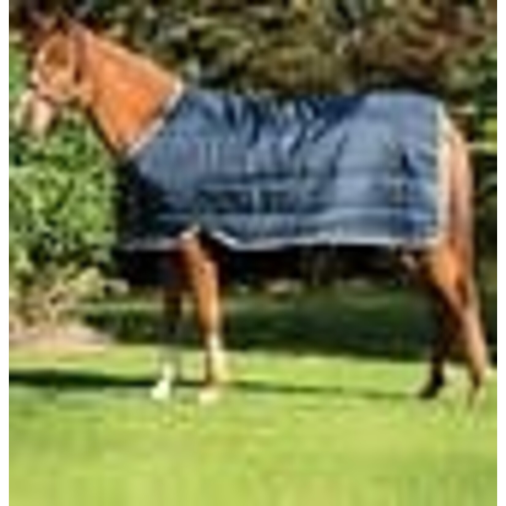 Horseware Horseware Liner 300gr