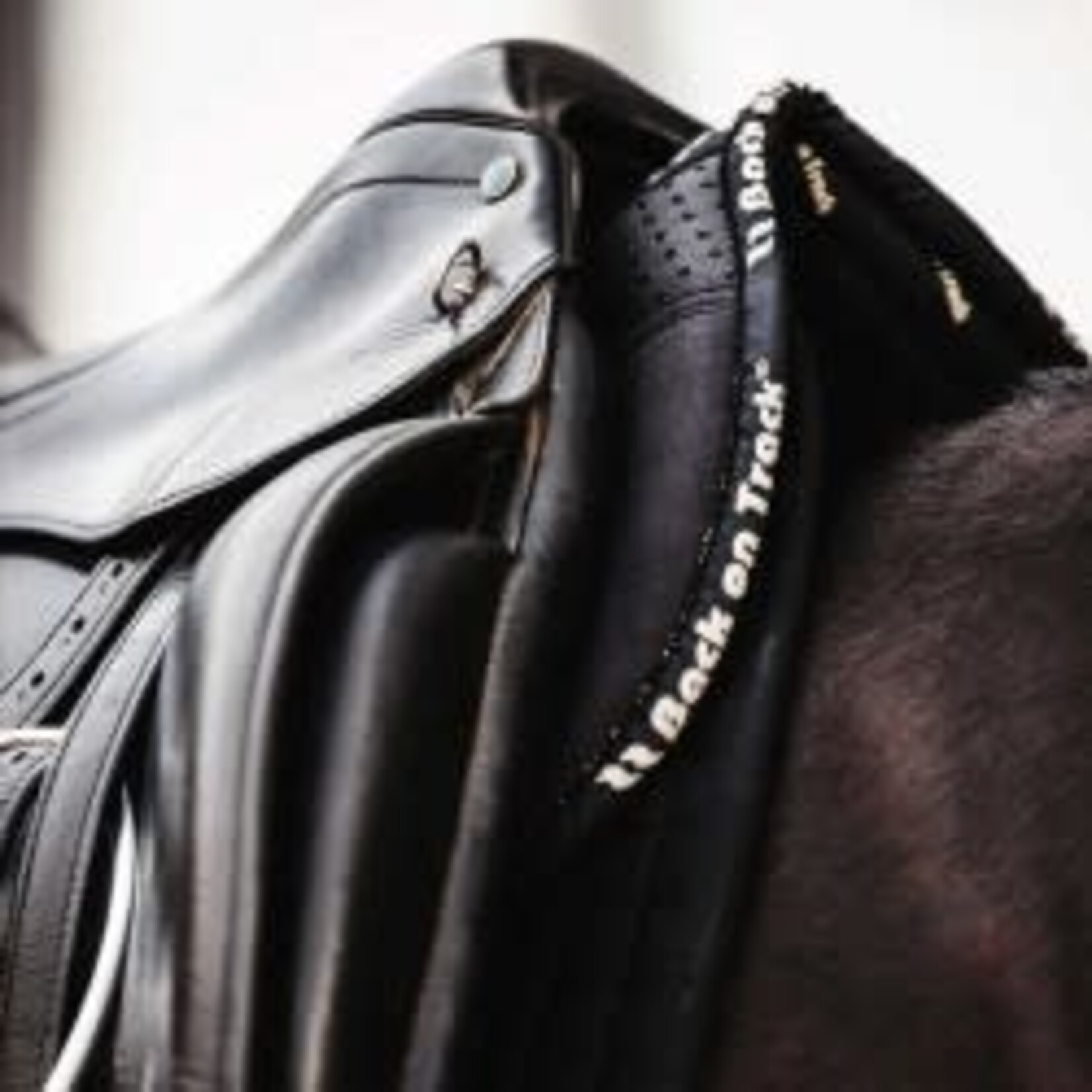 BACK ON TRACK Back On Track Zadelonderlegger Zwart