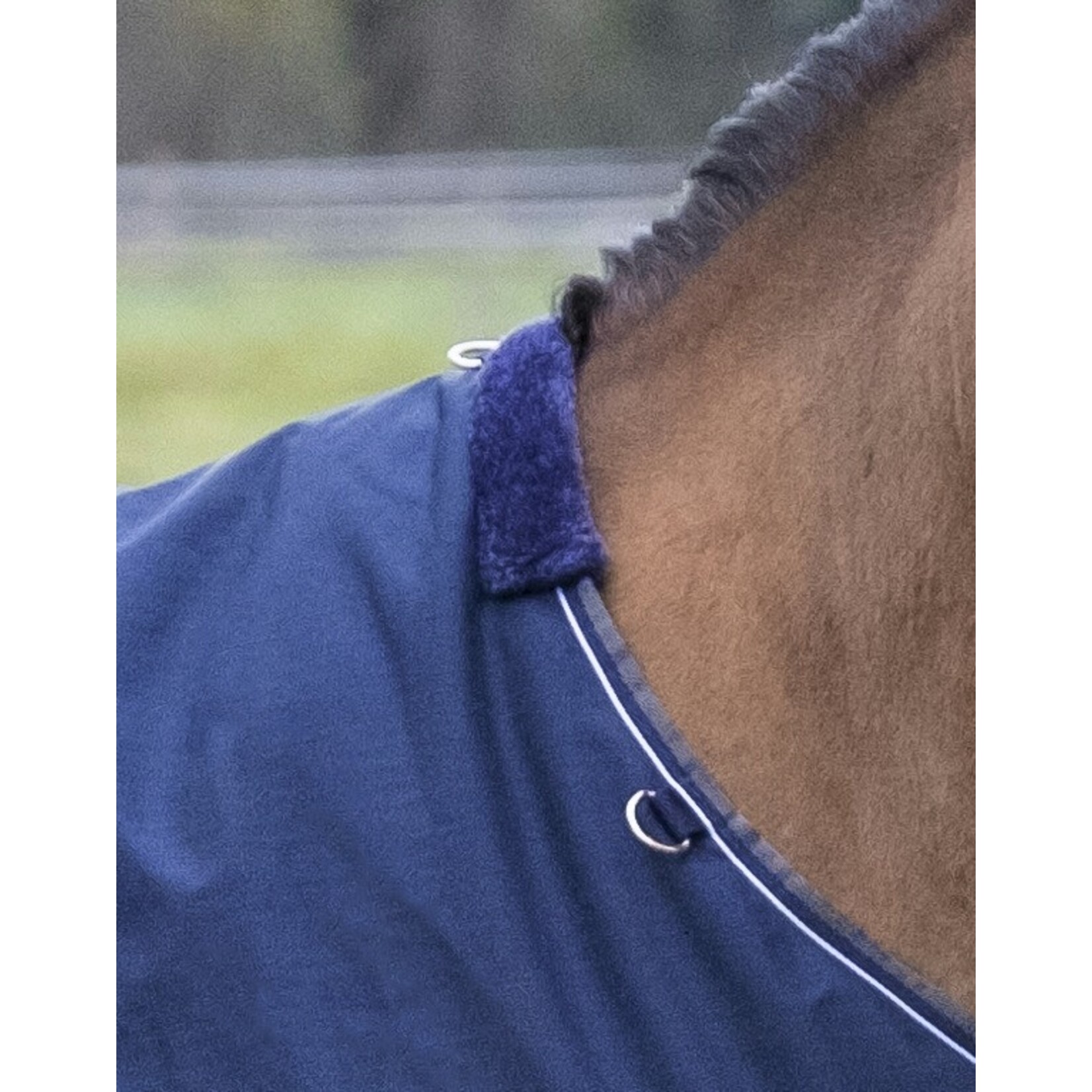 Equithème Equitheme Tyrex 600 outdoordeken 0 gram navy/grijs