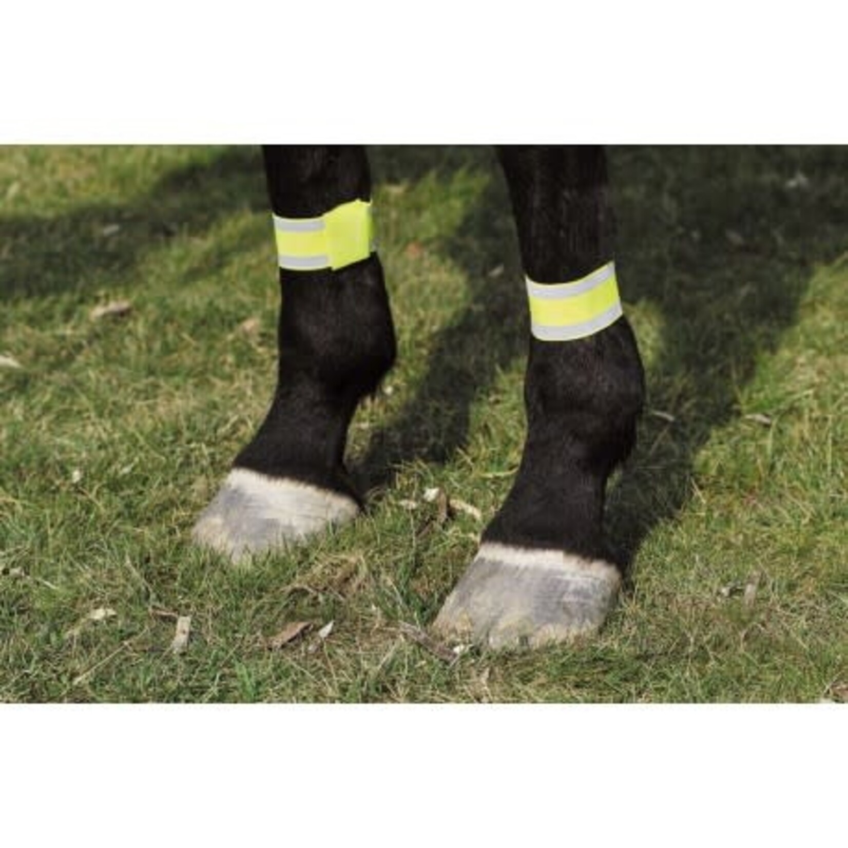 Norton Norton Fluo Bandages Geel