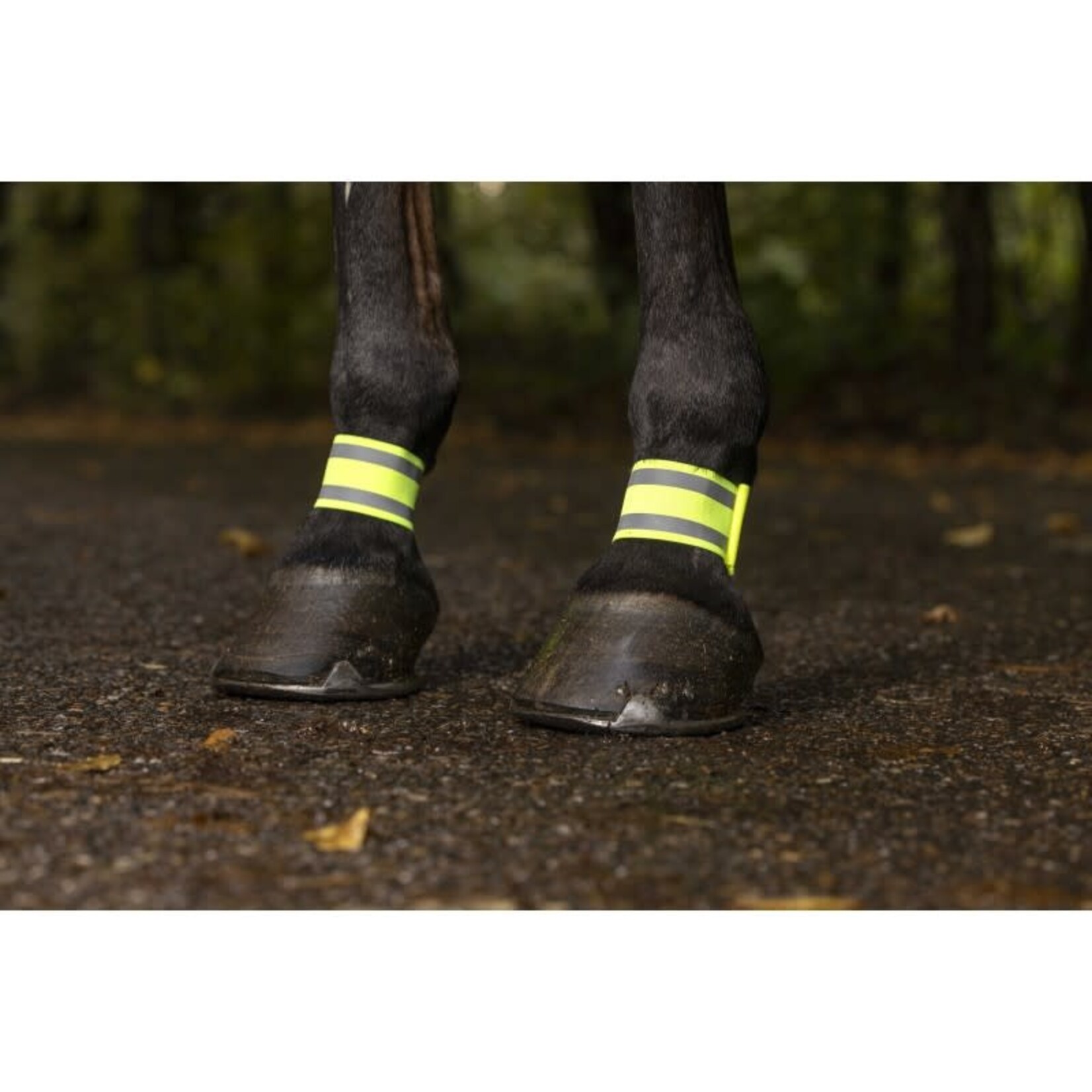 Norton Norton Fluo Bandages Geel