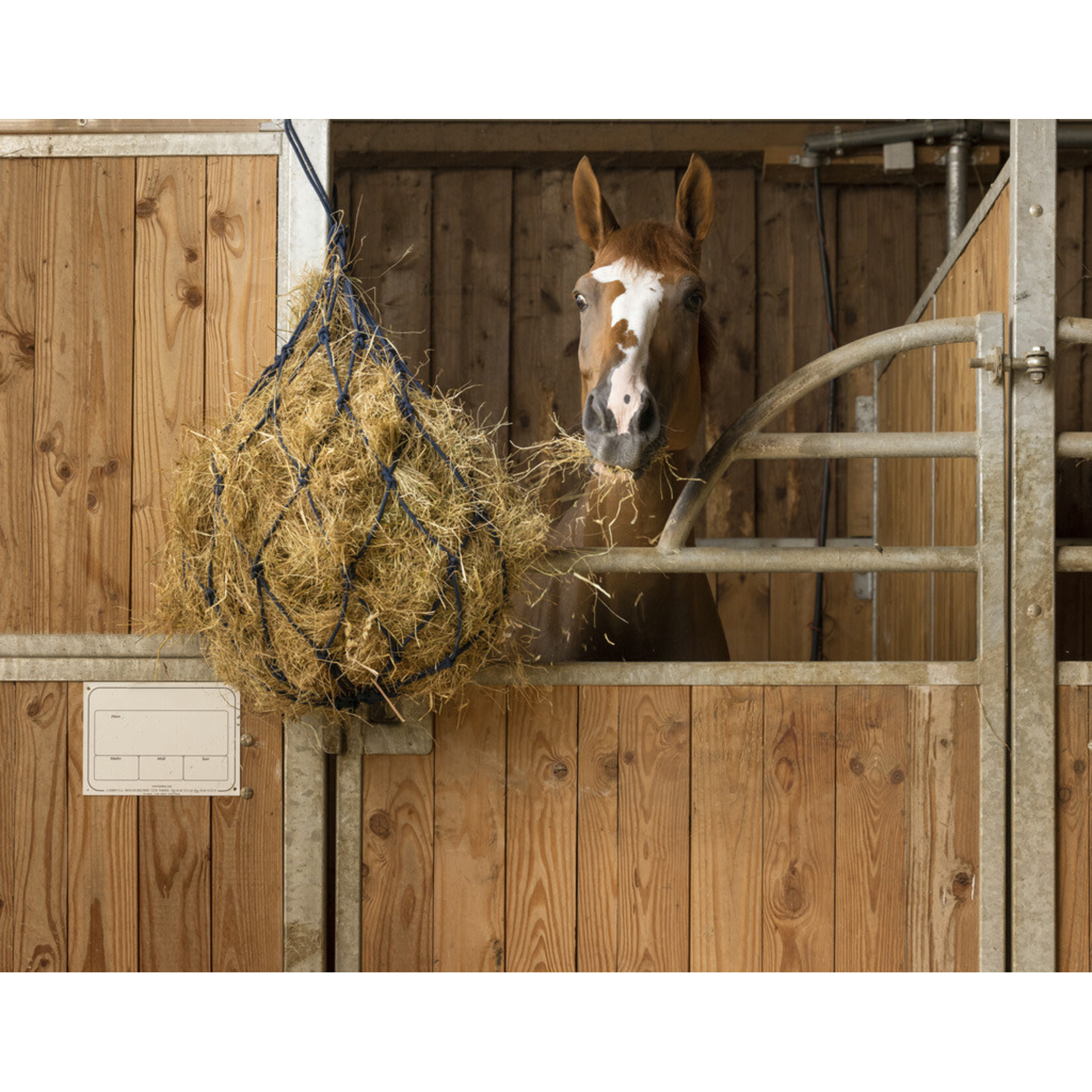 Hippotonic Hippotonic Hooinet Katoen Blauw