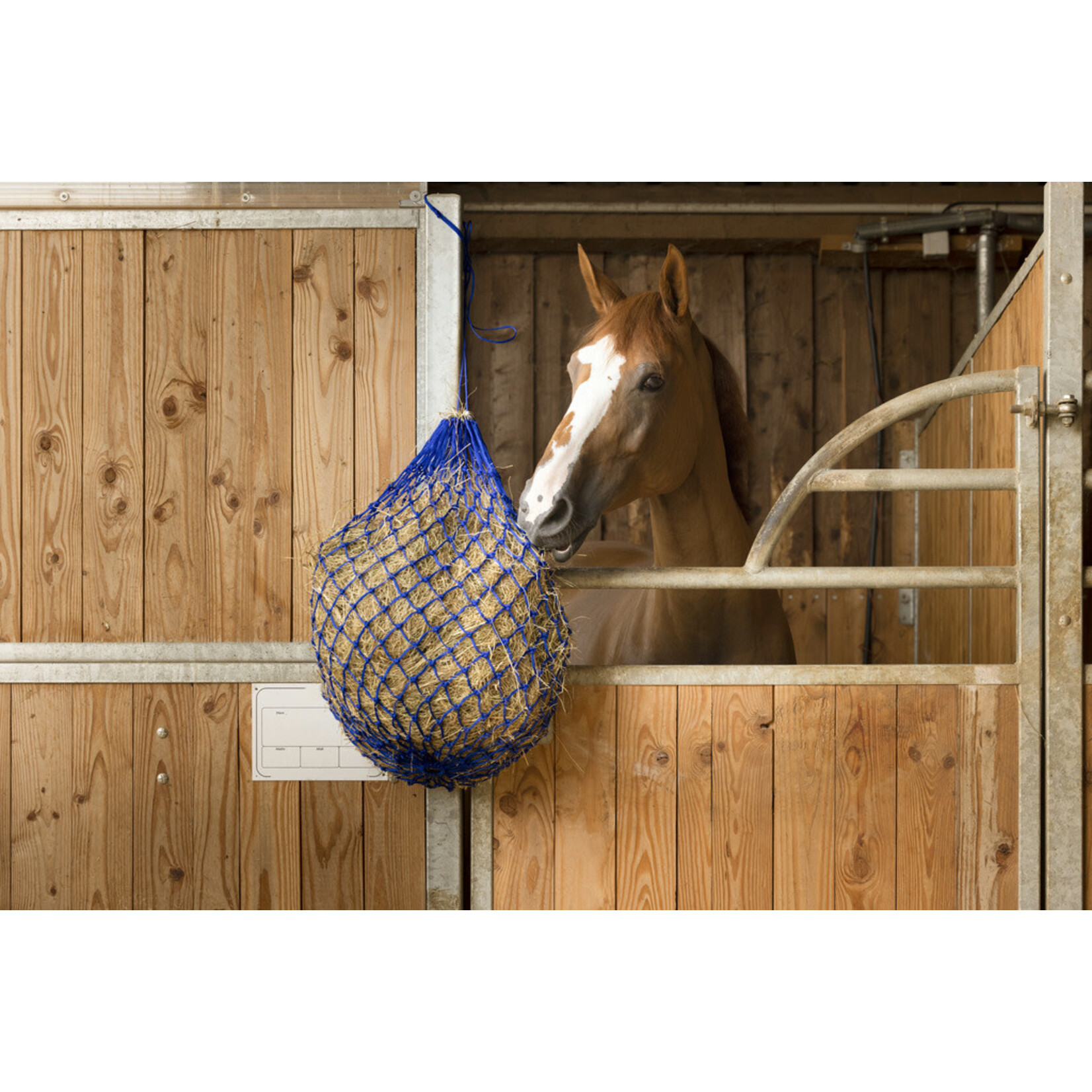 Hippotonic Hippotonic Hooinet Katoen Blauw