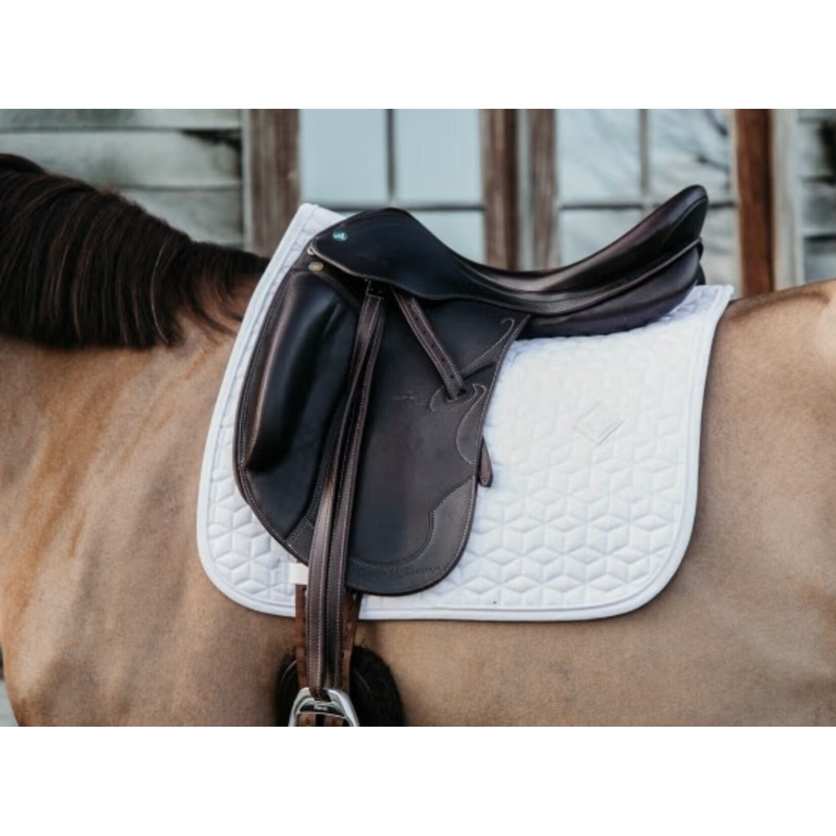 Kentucky Kentucky Zadeldoek Classic dressuur wit Full