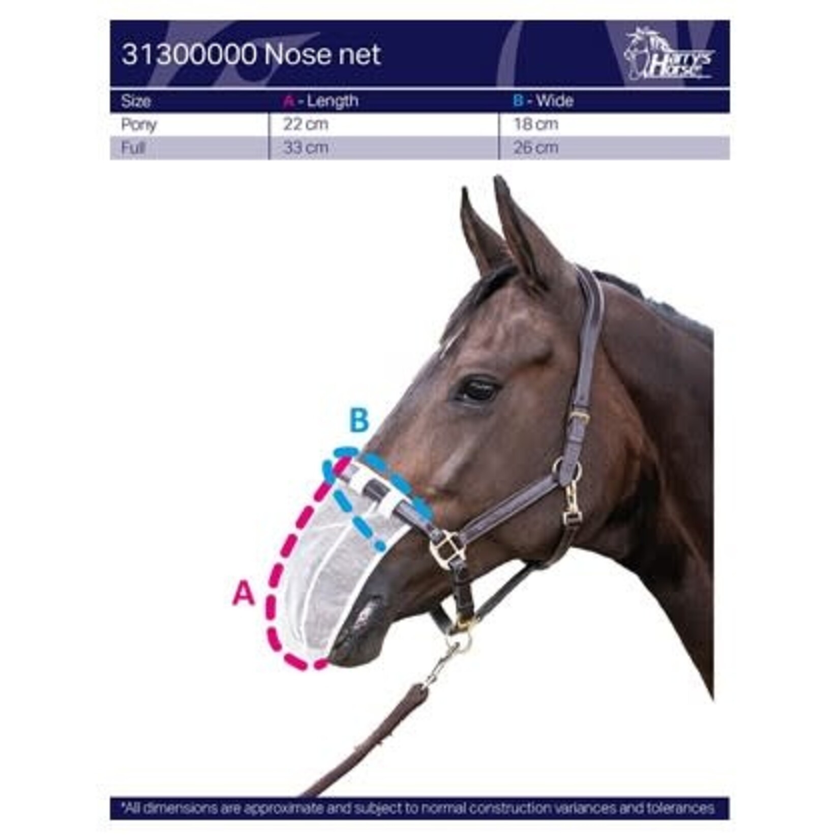 Harry's Horse Harry's horse Neusnetje