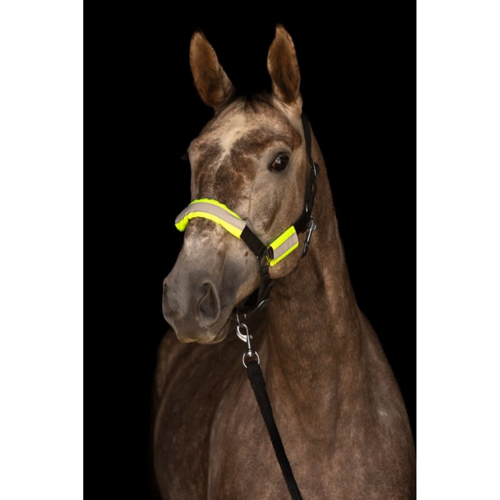 Covalliero Covalliero Reflex Trens -en Halsterset