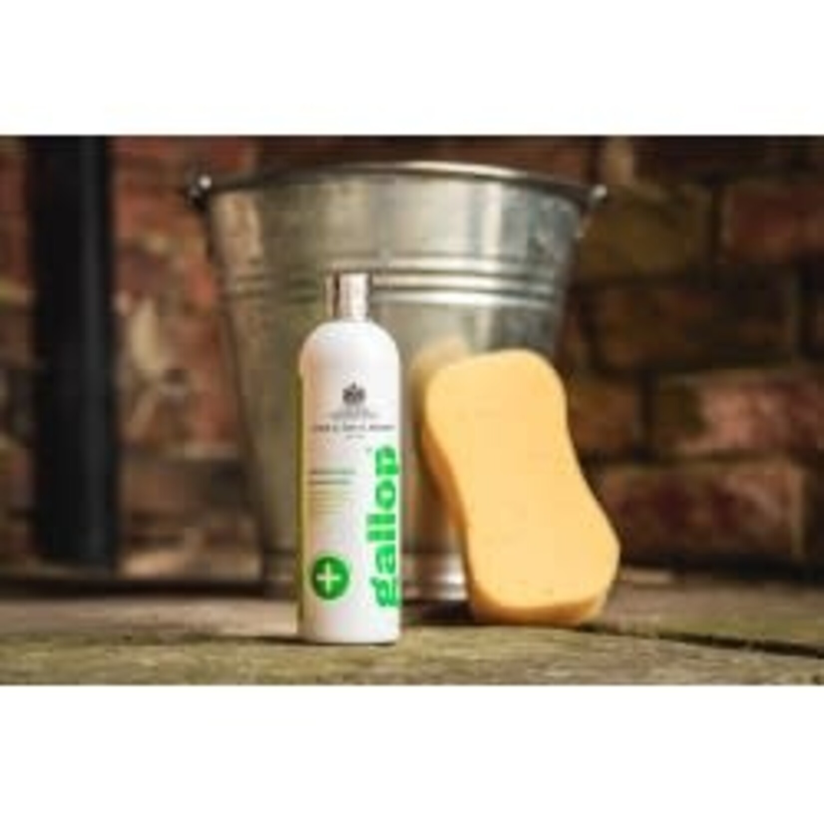 Carr&Day&Martin CARR & DAY & MARTIN Antibacteriële shampoo Gallop