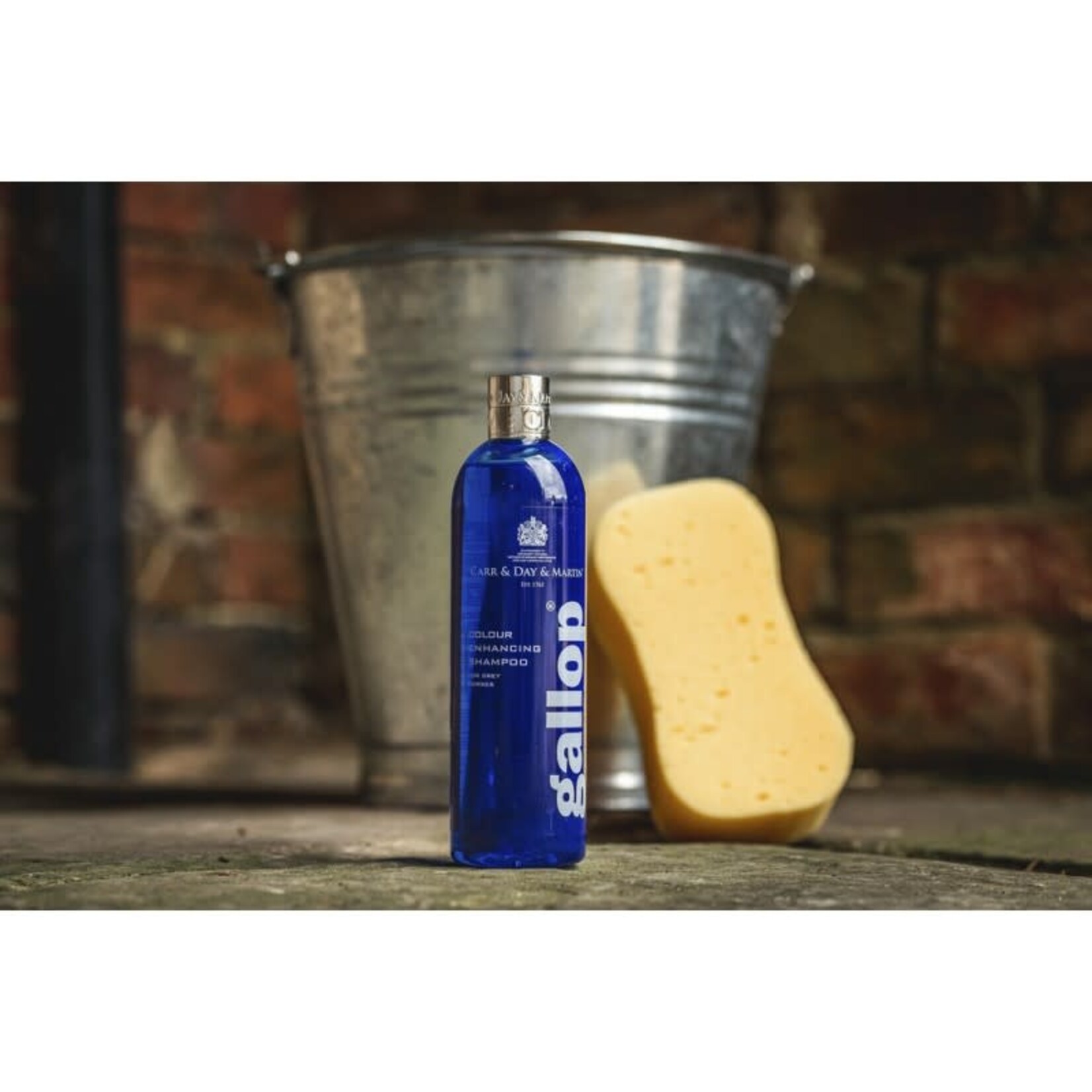 Carr&Day&Martin Shampoo CDM Gallop Grey 500ml