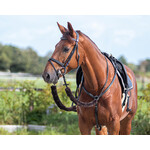 QHP QHP Teugel Bontset