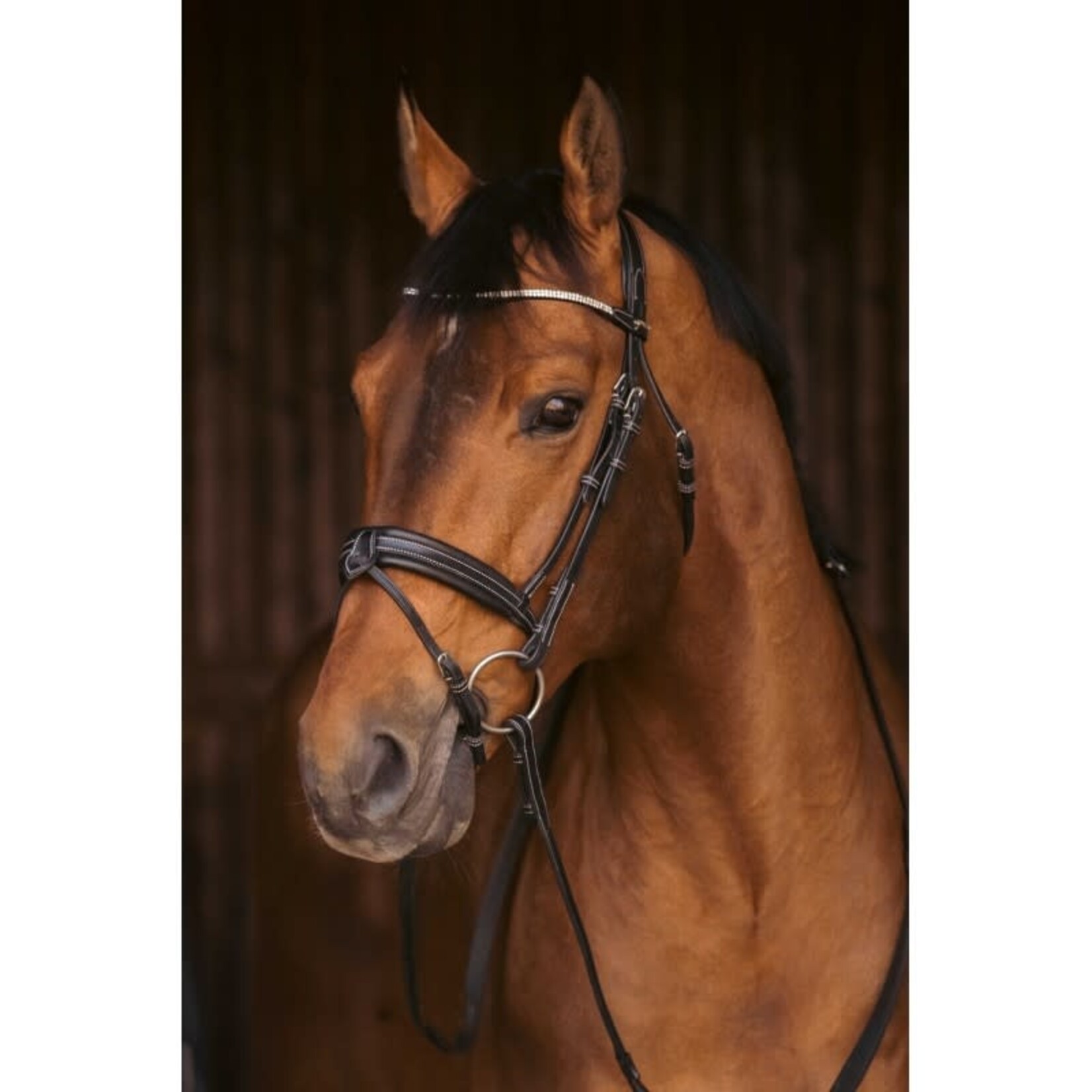 Penelope Hoofdstel Penelope Daily Strass Zwart Full