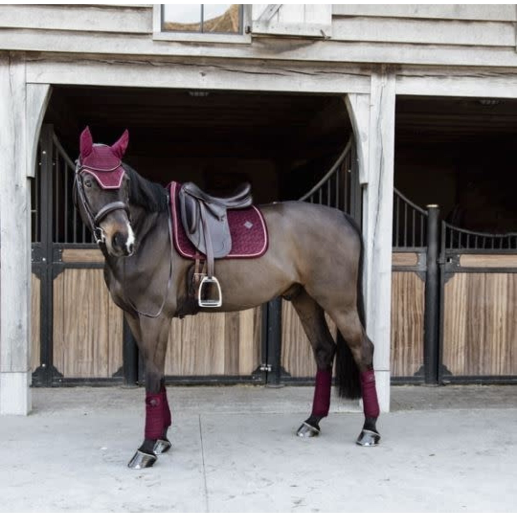 Kentucky Kentucky Zadeldoek Velvet Bordeaux