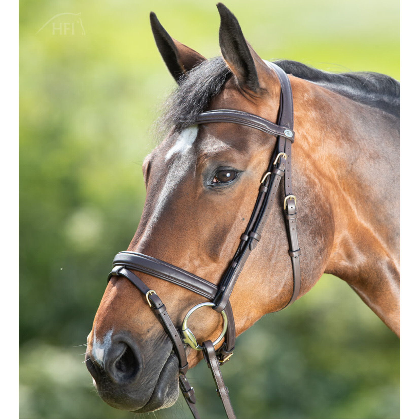 HFI HFI Soft Hoofdstel