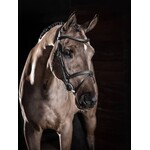 LeMieux Lemieux Hoofdstel Arika Flash Zwart