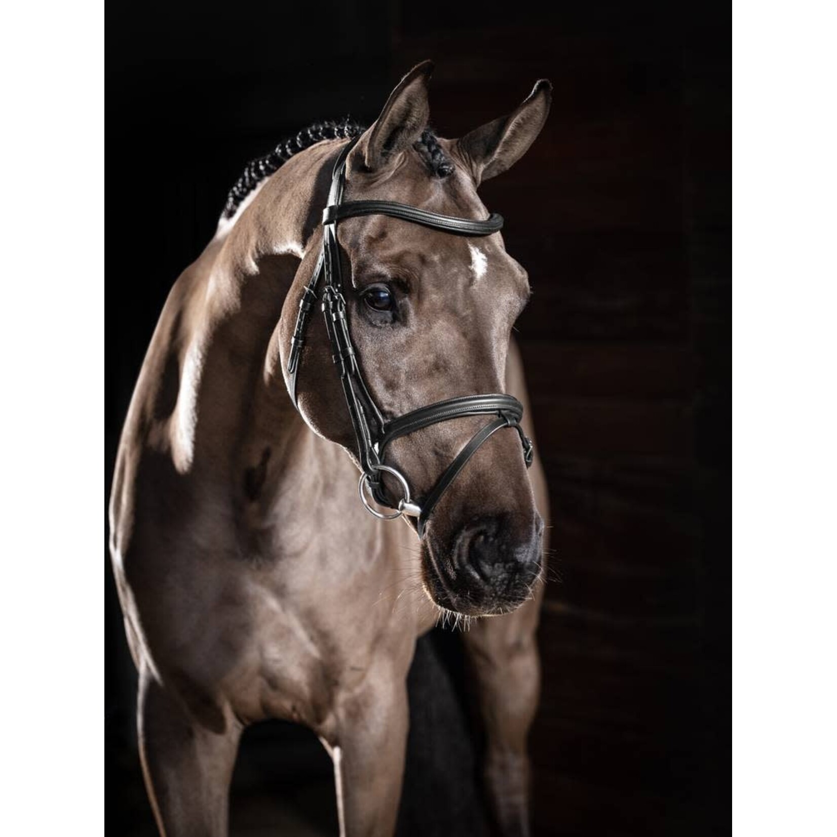 LeMieux Lemieux Hoofdstel Arika Flash Zwart