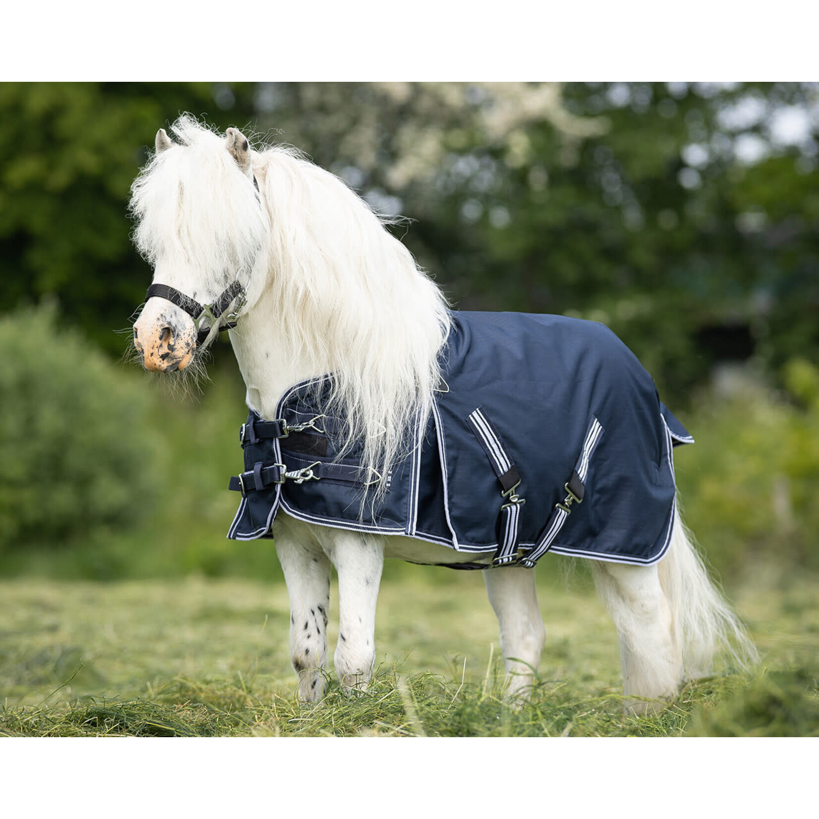 QHP QHP Regendeken turnout 200gr falabella