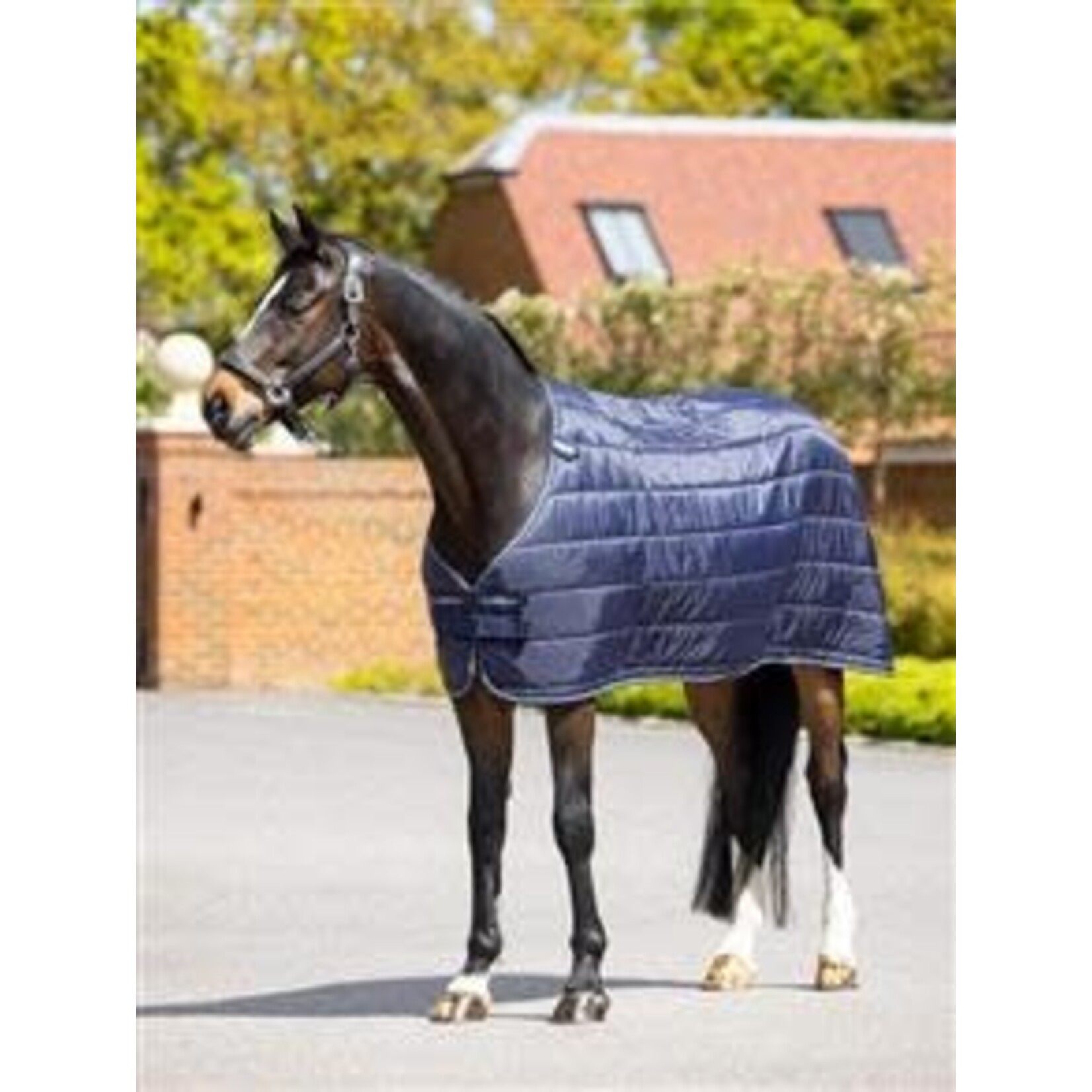 LeMieux Lemieux Rug Liner 100gr Navy