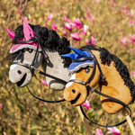 QHP QHP Bitloos Hoofdstel Hobby Horse Zwart