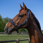 Kingsland Kingsland Halster Set Lucca