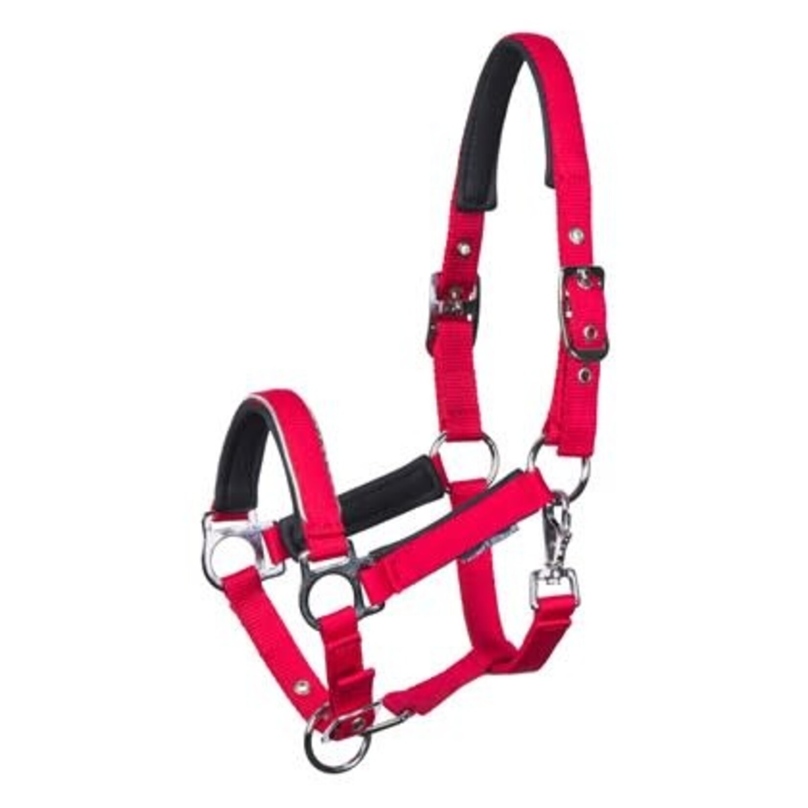 Harry's Horse Harry's Horse Veulenhalster Metal