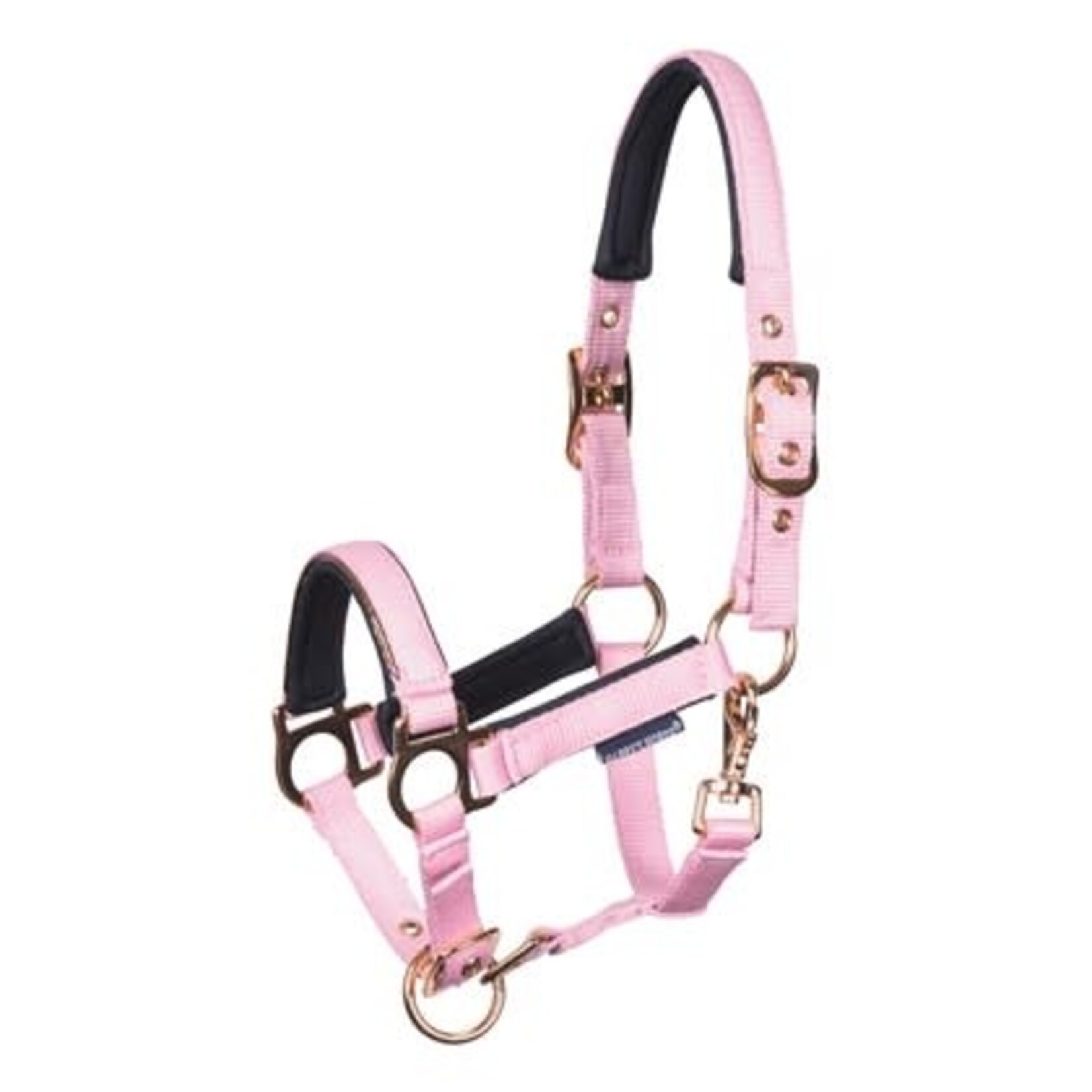 Harry's Horse Harry's Horse Veulenhalster Metal