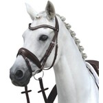 Passier Passier Hoofdstel BLU Spirit