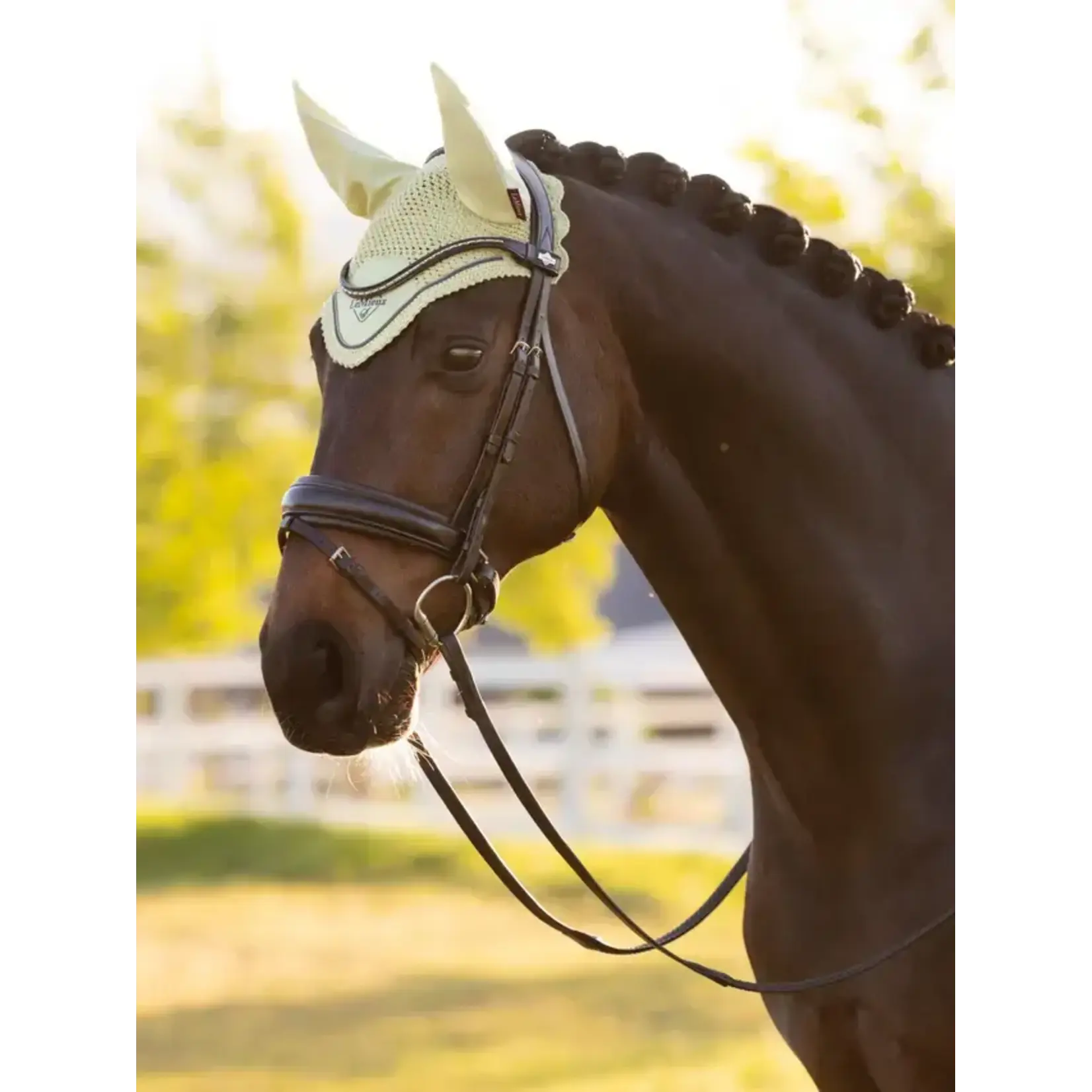 LeMieux Lemieux Oornetje Classic Macaron M