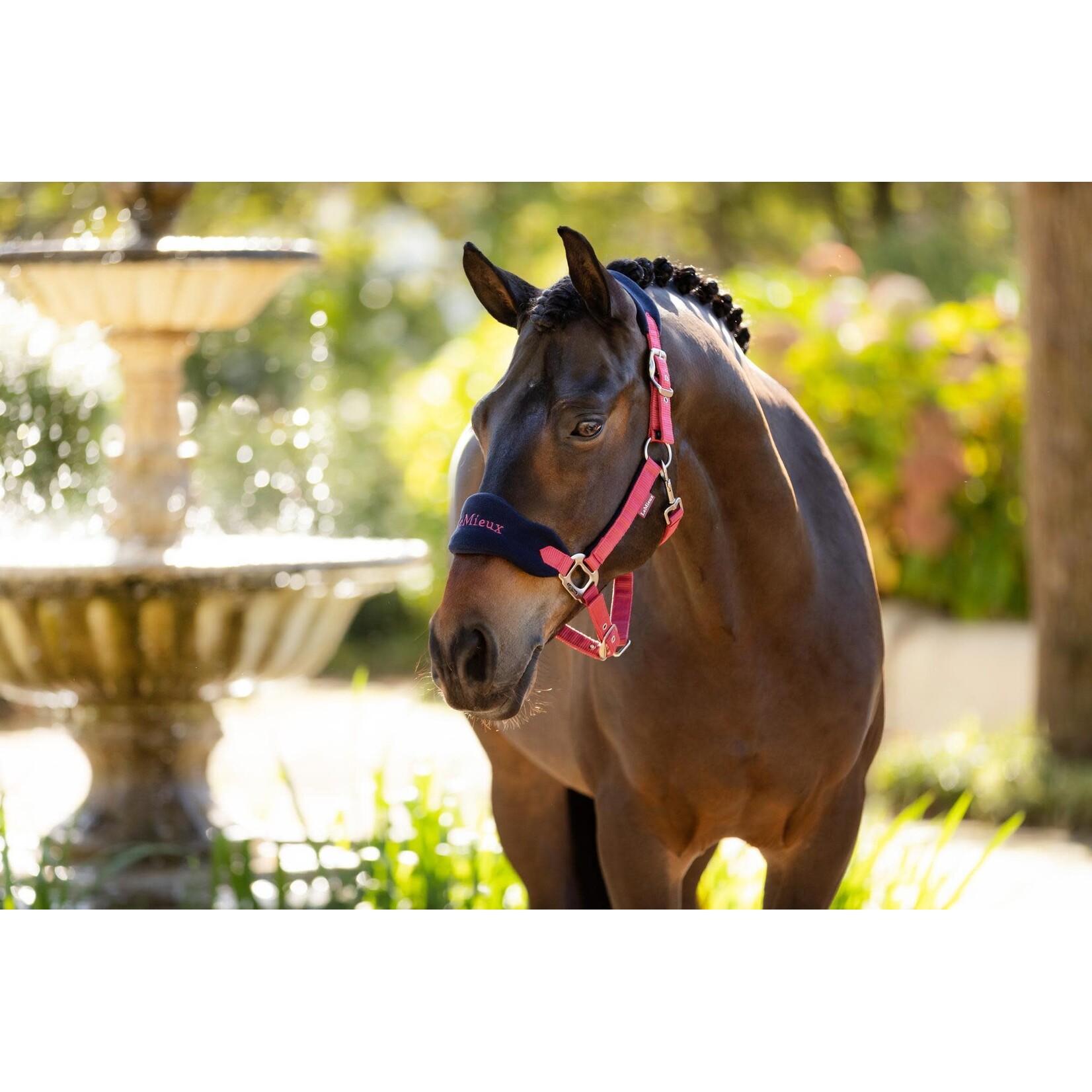 LeMieux LeMieux Halster Set Vogue