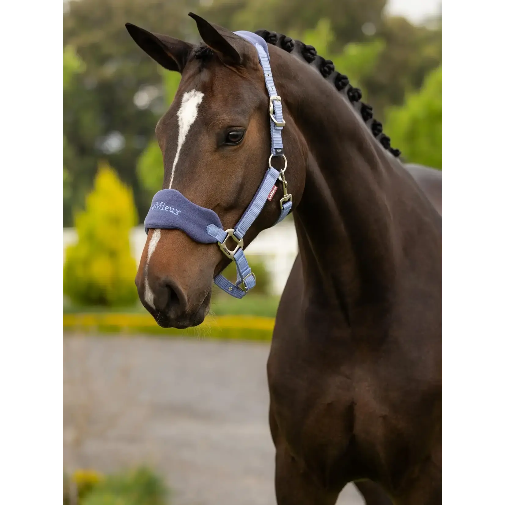 LeMieux LeMieux Halster Set Vogue