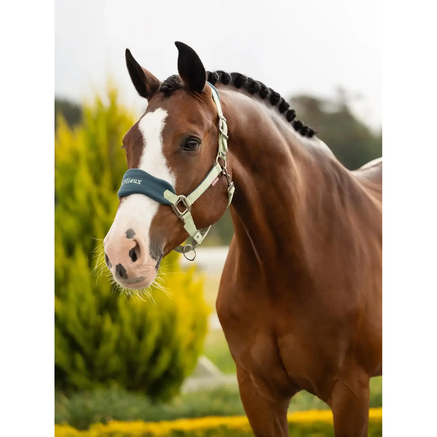 LeMieux LeMieux Halster Set Vogue