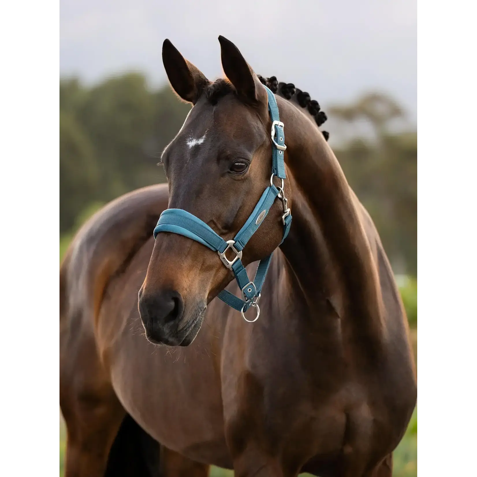 LeMieux Lemieux Halster Versailles Jungle Full