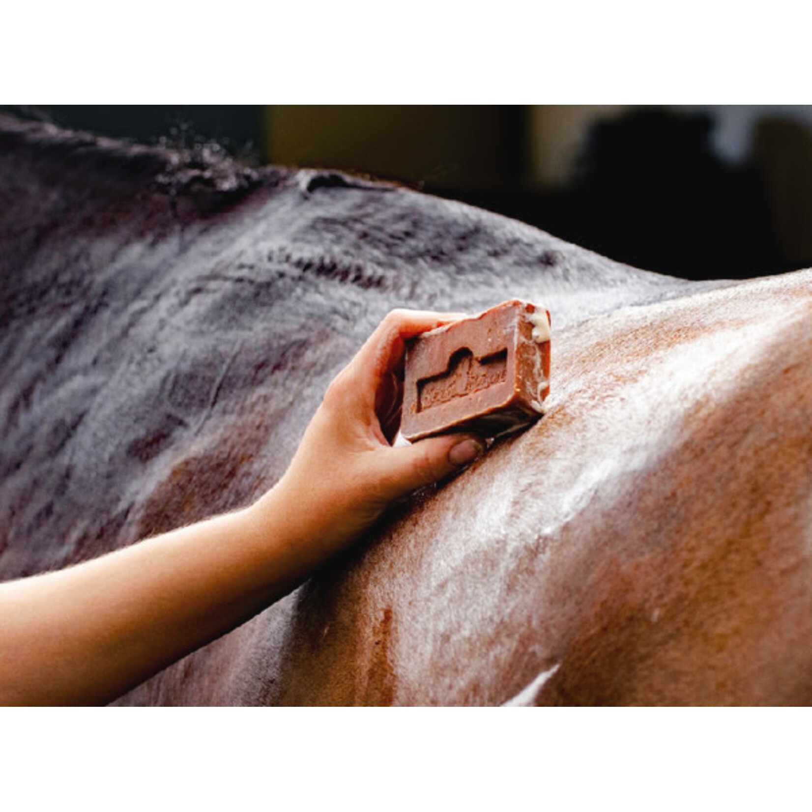 Kevin Bacon Kevin Bacon's Active Soap