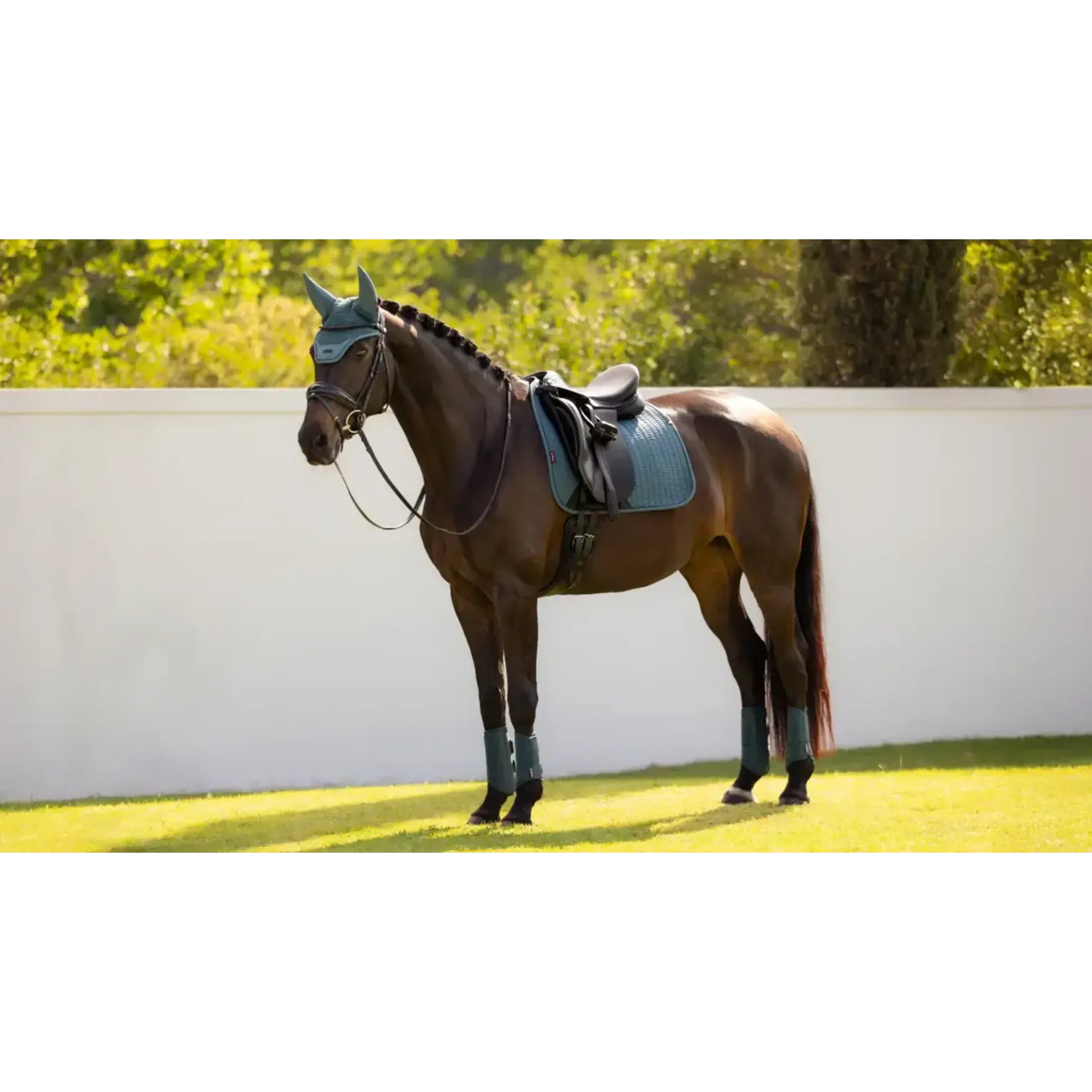 Lemieux Zadeldoek Essence Square