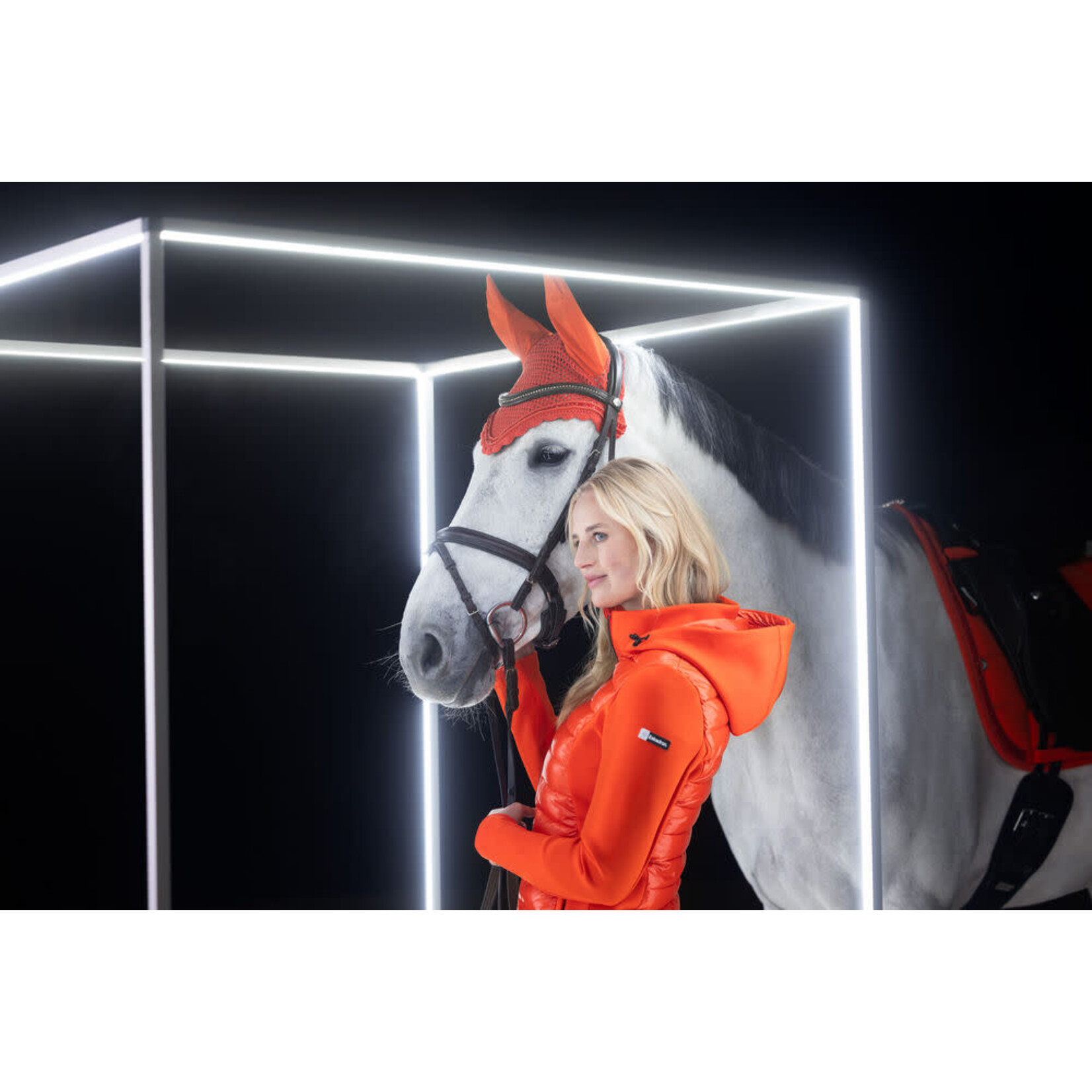 Eskadron Eskadron Oornetje Jewel Dynamic Full