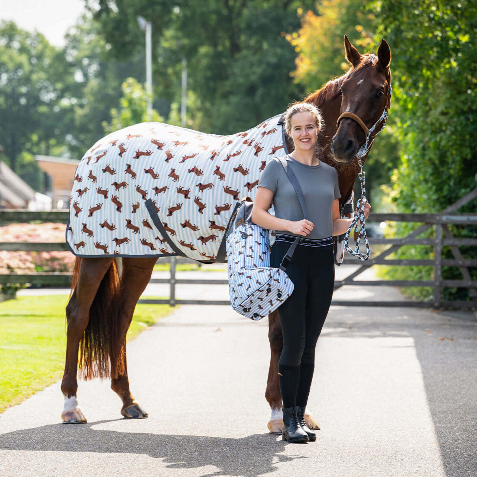 QHP QHP Laarzentas Dachshund